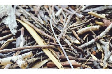 Avviso Raccolta ingombranti